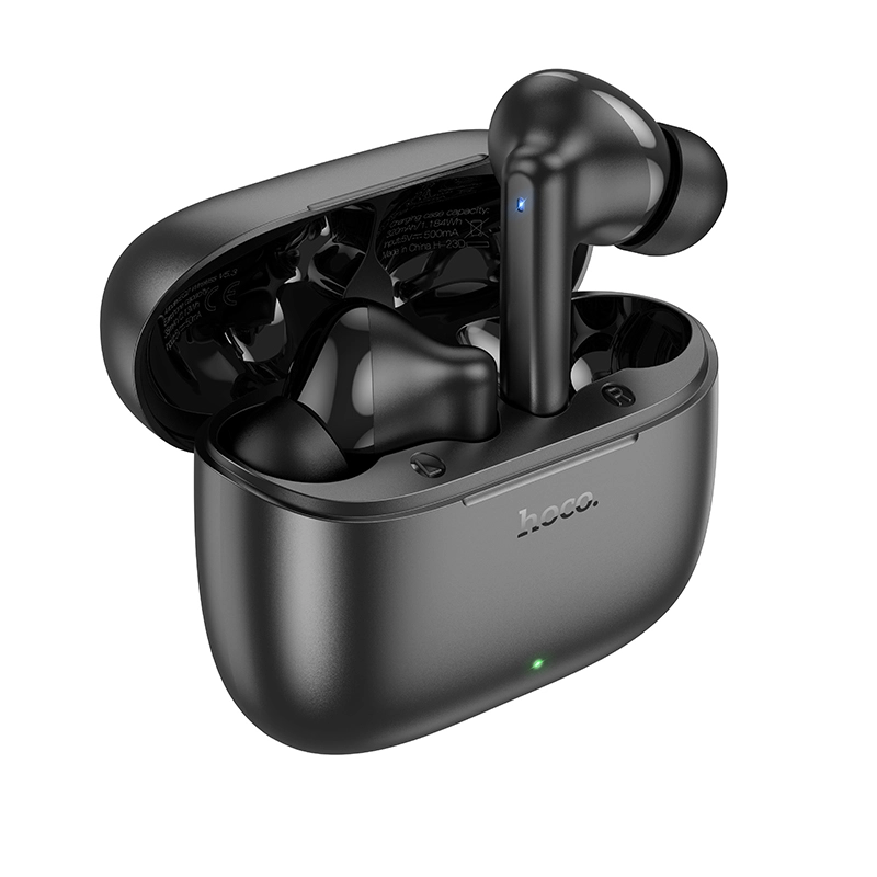 Hoco EQ2 True Wireless Earbuds - Image 2